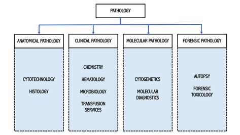 Pathology & Laboratory Department .